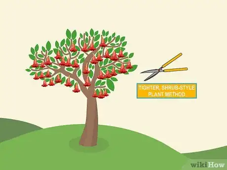 Image titled Prune Brugmansia Step 11