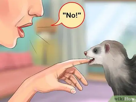 Image titled Train a Ferret Step 7