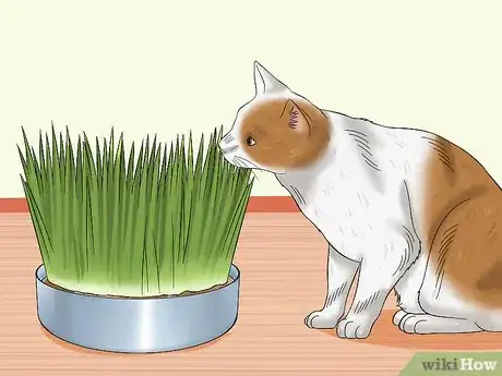 Image titled Choose Cat Treats Step 8