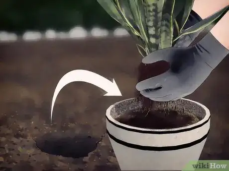 Image titled Overwinter Tropical Plants Step 3