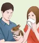 Buy a Rabbit