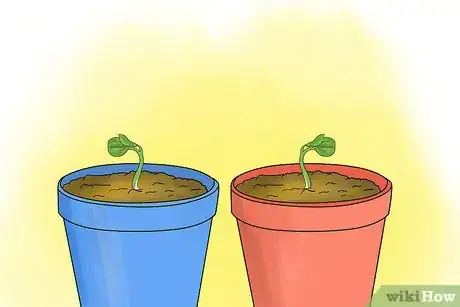 Image titled Care for Cyclamen Plants Step 21