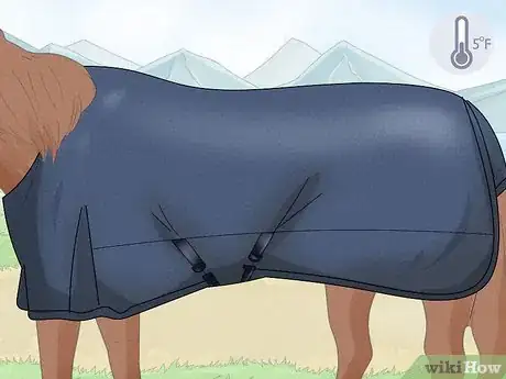 Image titled Take off a Horse Blanket Step 4