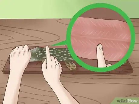Image titled Clean and Fillet a Northern Pike Step 6