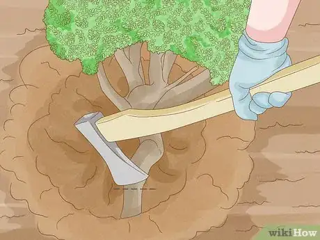 Image titled Remove Overgrown Shrubs Step 4