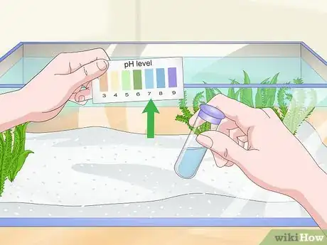 Image titled Care for a Pearl Gourami Step 9