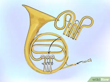 Image titled Bathe a French Horn Step 12