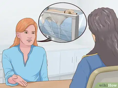 Image titled Exercise a Senior Dog on a Water Treadmill Step 1