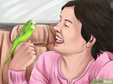 Image titled Pack and Move Your Bird Step 13