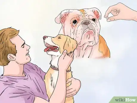 Image titled Enhance Your Dog's Recall Step 9