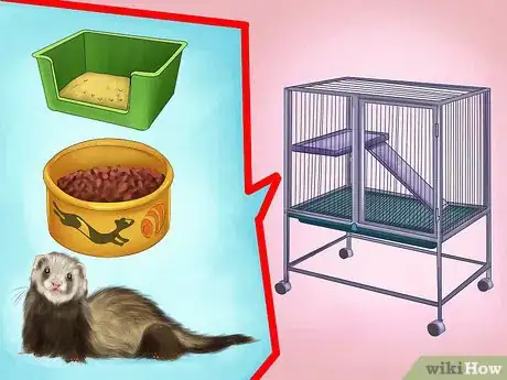 Image titled Buy a Ferret Step 18