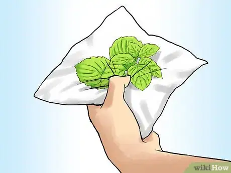 Image titled Grow Mint in a Pot Step 8