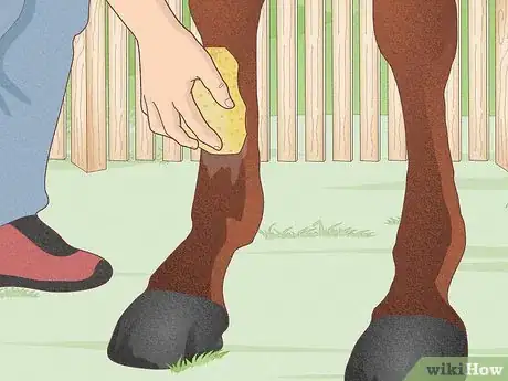 Image titled Fit a Horse for Support Boots Step 7