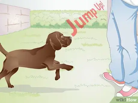 Image titled Train a Dog to Stand Up Step 14