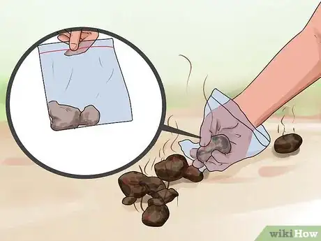 Image titled Deworm a Horse Step 1