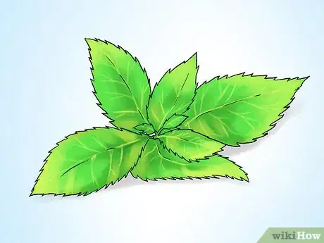 Image titled Grow Mint in a Pot Step 1