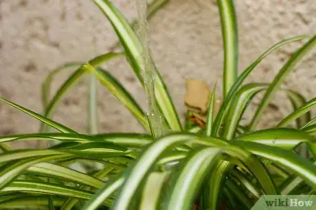 Image titled Clean Your Indoor Houseplants Step 4