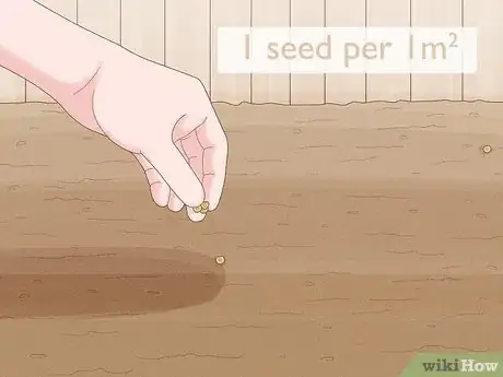 Image titled Sow Yellow Rattle Step 6