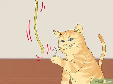 Image titled Deal with Your Cat Pacing at Night Step 2