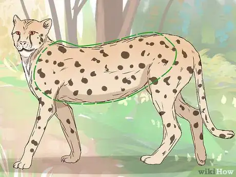 Image titled Tell a Cheetah and Leopard Apart Step 5
