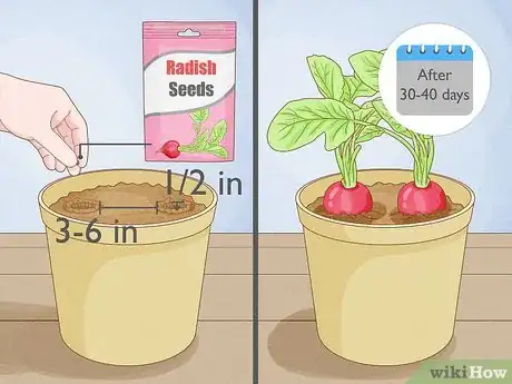 Image titled Grow Vegetables Indoors Step 9