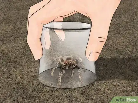 Image titled Eat an Insect or Arachnid Step 7