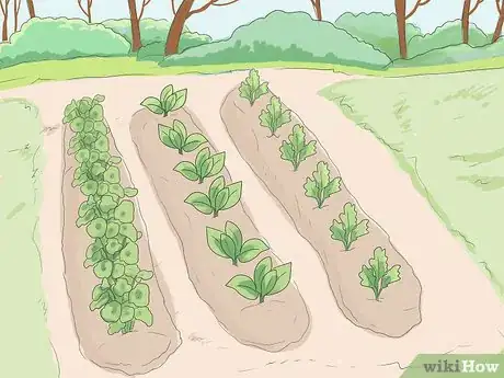 Image titled Live Off the Land Step 11