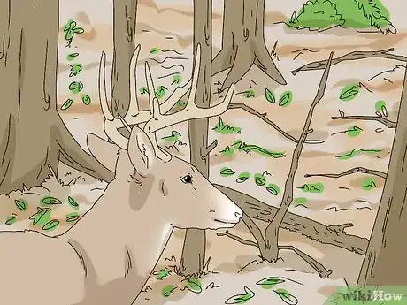 Image titled Feed Wildlife in the Autumn Step 1