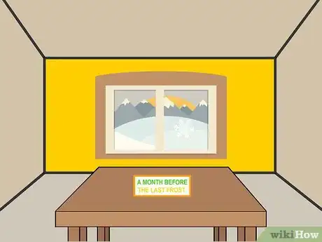 Image titled Plant Begonia Bulbs Step 02