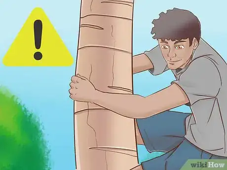 Image titled Climb a Tree With No Branches Step 16