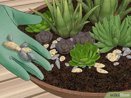 Image titled Create a Dish Garden Step 11