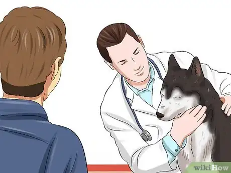 Image titled Treat Canine Infectious Hepatitis Step 13