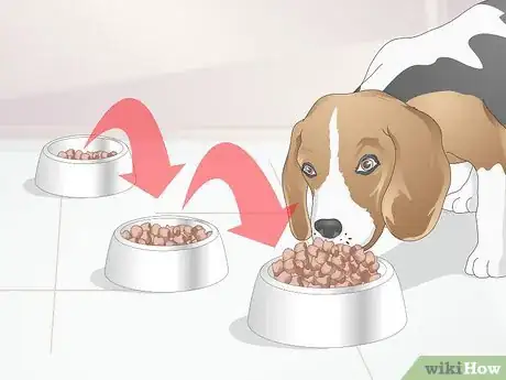 Image titled Transition from Puppy to Adult Dog Food Step 9