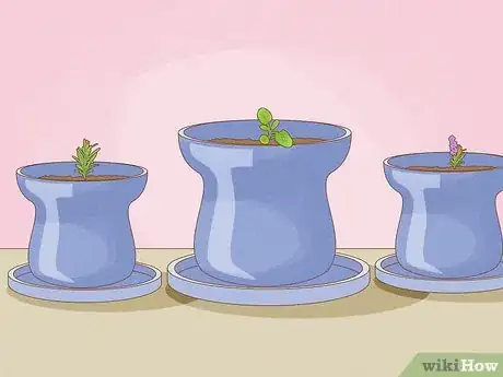 Image titled Grow an Herb Garden Step 21