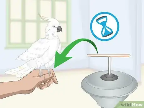 Image titled Choose a Cockatoo Step 2