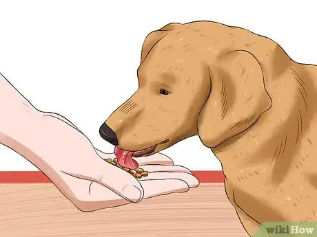 Image titled Treat Canine Infectious Hepatitis Step 10