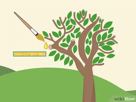 Image titled Prune Brugmansia Step 08