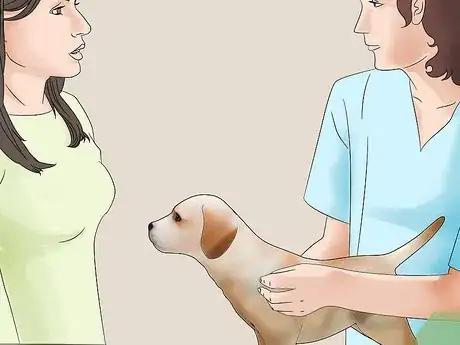 Image titled Keep a House Clean when You Have a Dog Step 14