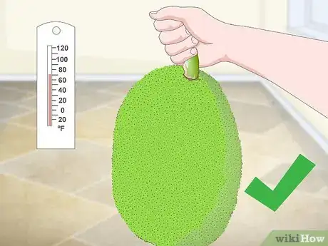 Image titled Buy Jackfruit Step 11