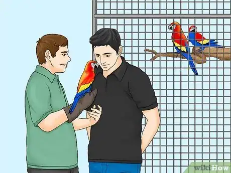Image titled Calculate the Cost to Adopt a Parrot Step 2