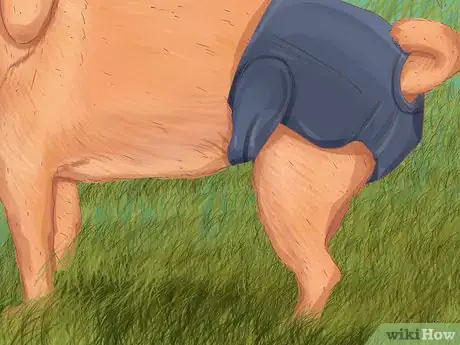 Image titled Help a Dog with Sleep Incontinence Step 11