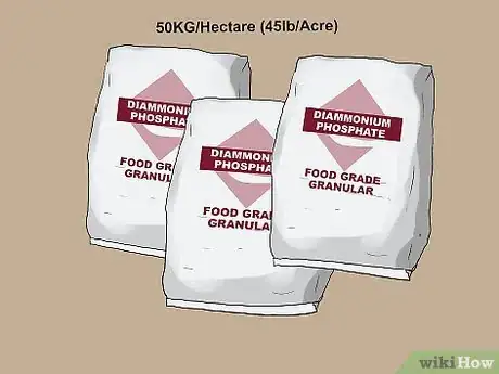 Image titled Set Up a Freshwater Crayfish Farm Step 14