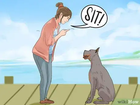 Image titled Go Boating With Your Dog Step 3