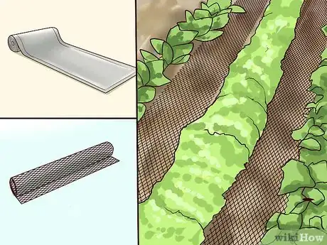 Image titled Repel Cats Step 11