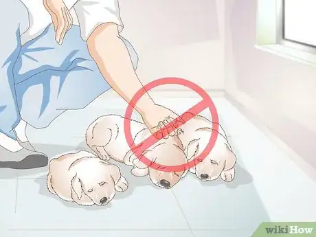 Image titled Get a Litter of Puppies to Sleep Step 4