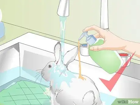 Image titled Keep a Rabbit Clean Step 11