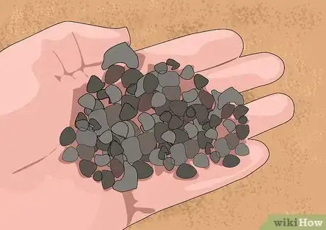 Image titled Grow and Care for Asiatic Lilies Step 4