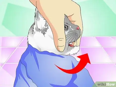 Image titled Give Cats Liquid Medicine Step 7