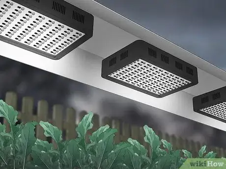 Image titled Plan a Winter Garden Step 14