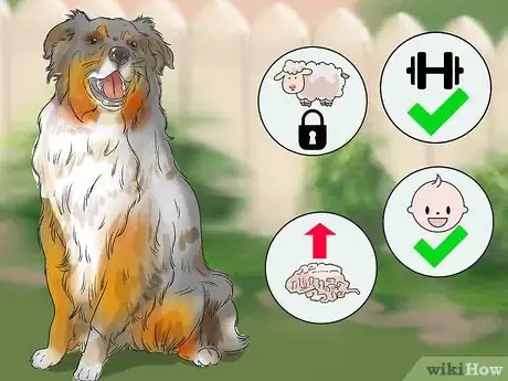 Image titled Choose an Active Dog Step 13